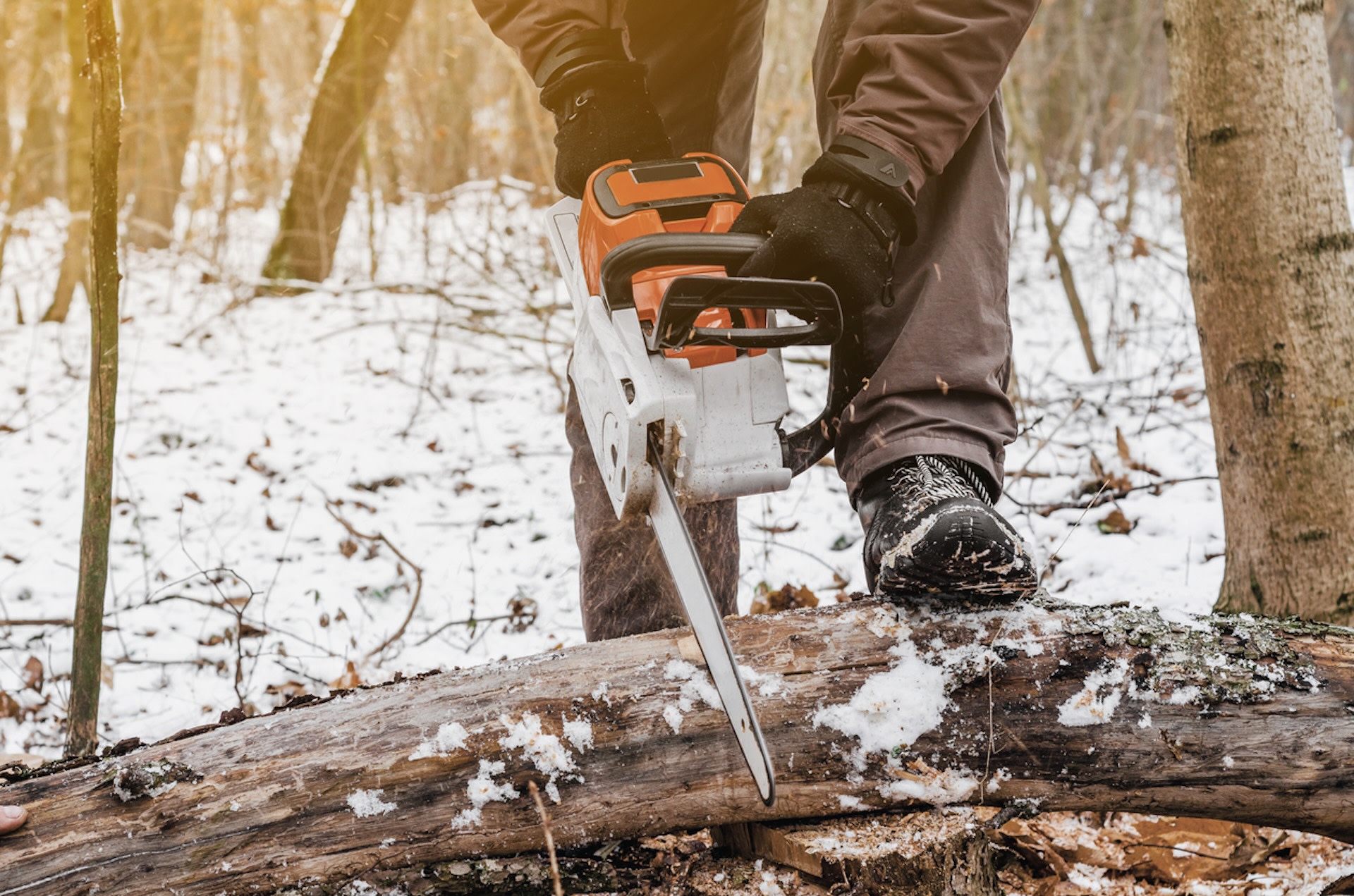 "This is not the first time, but is the first time I have evidence of him damaging trees."