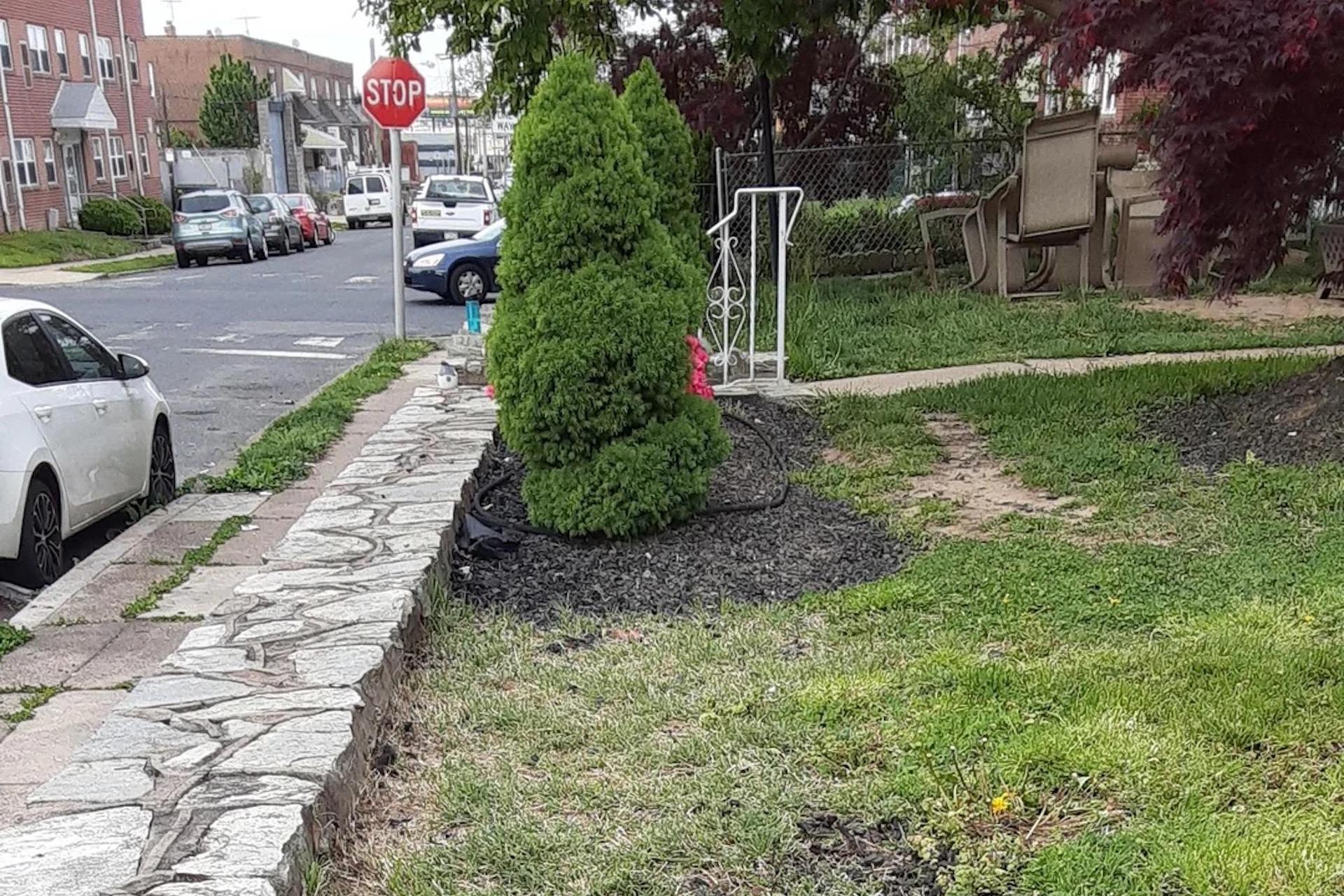 "This will not work to stop weeds in any meaningful way."