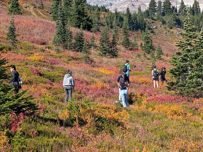 The National Park Service calls on visitors to its sites to observe park etiquette and not leave trails unless it's absolutely necessary.