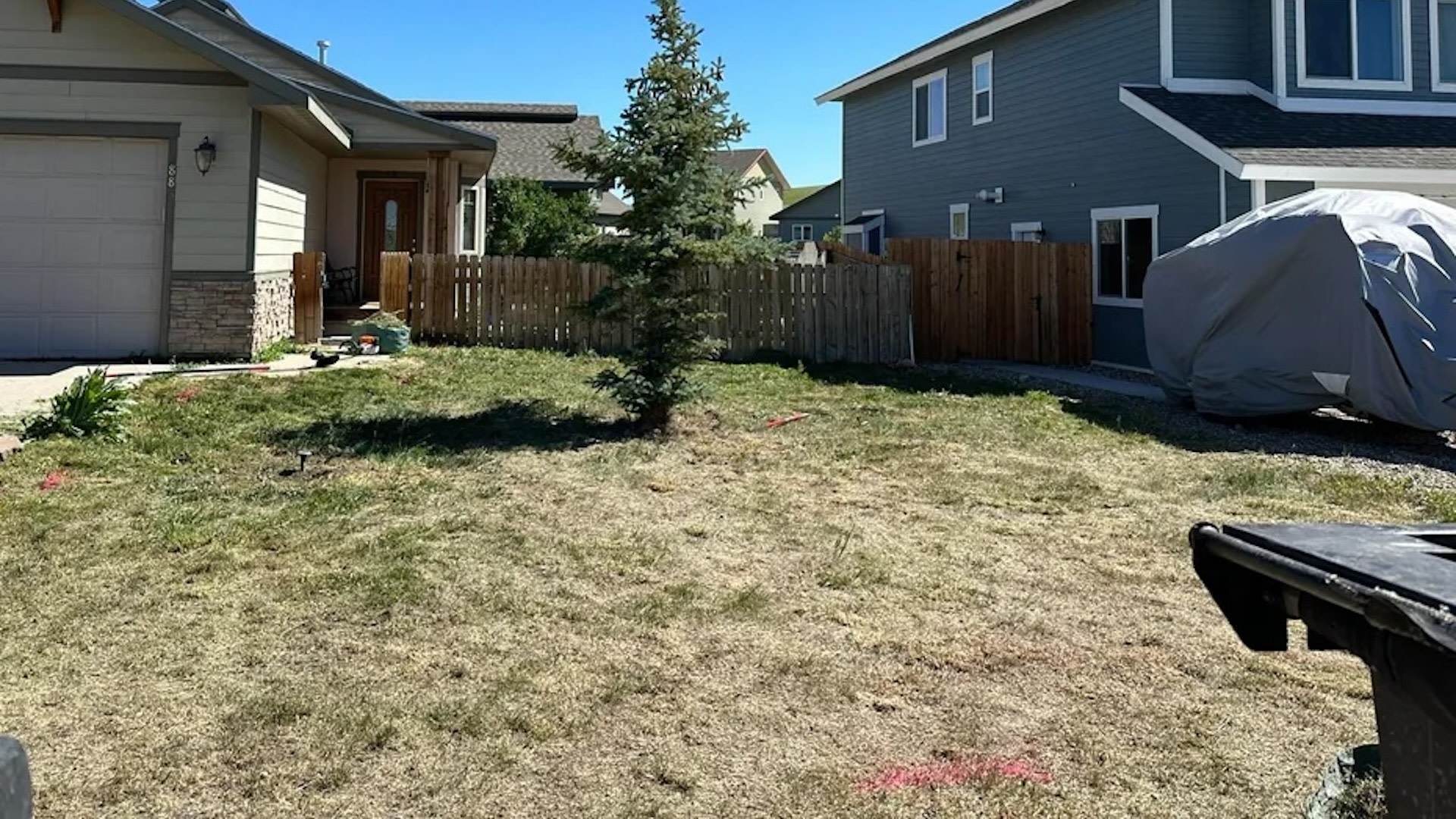 "You probably qualify to certify your yard as a wildlife habitat if you wanted to."