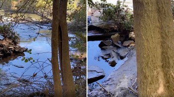 "If we funded parks, we could have more rangers."