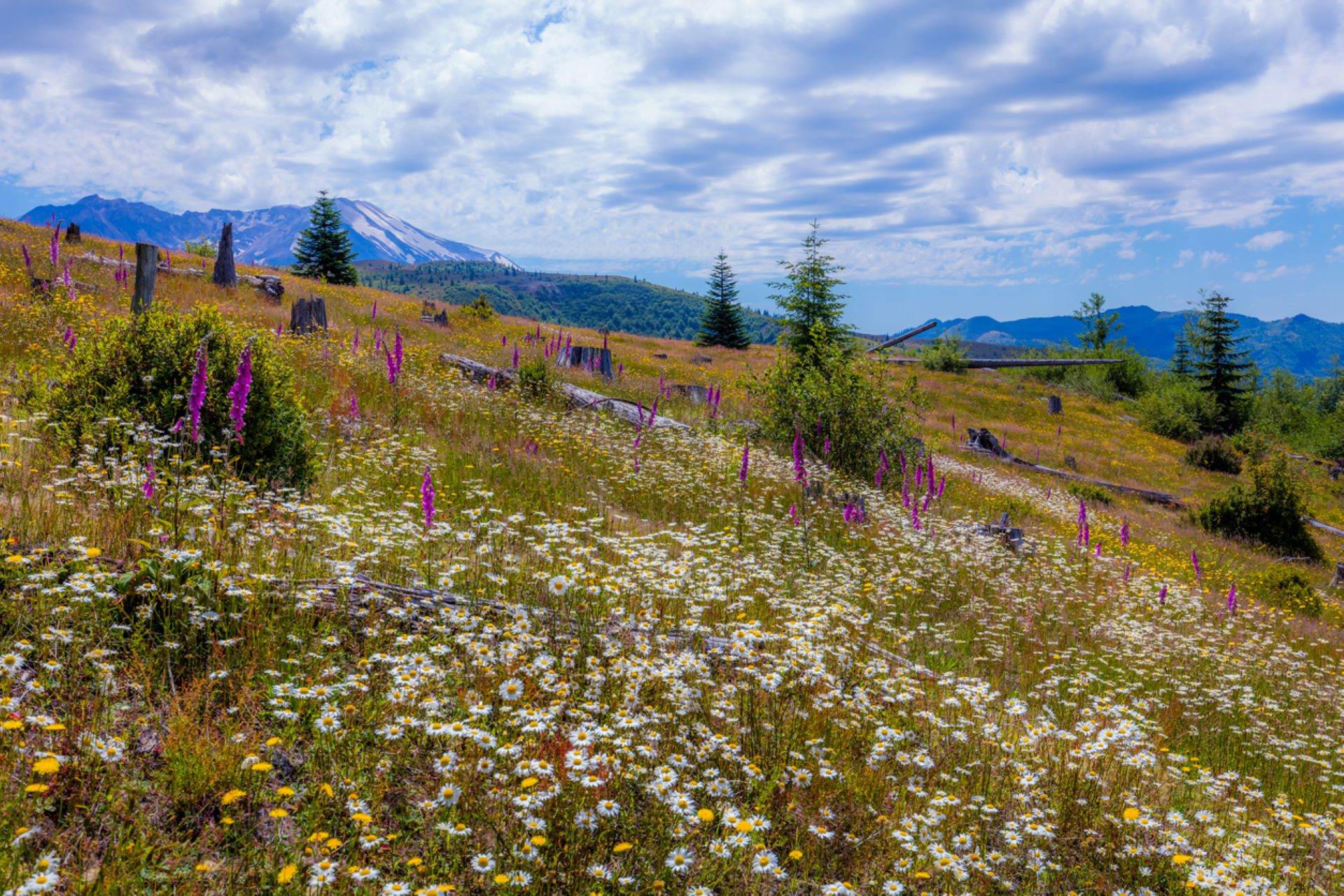 "If everyone did what people in [these photos] are doing, there would be no plants, just dirt and rocks."