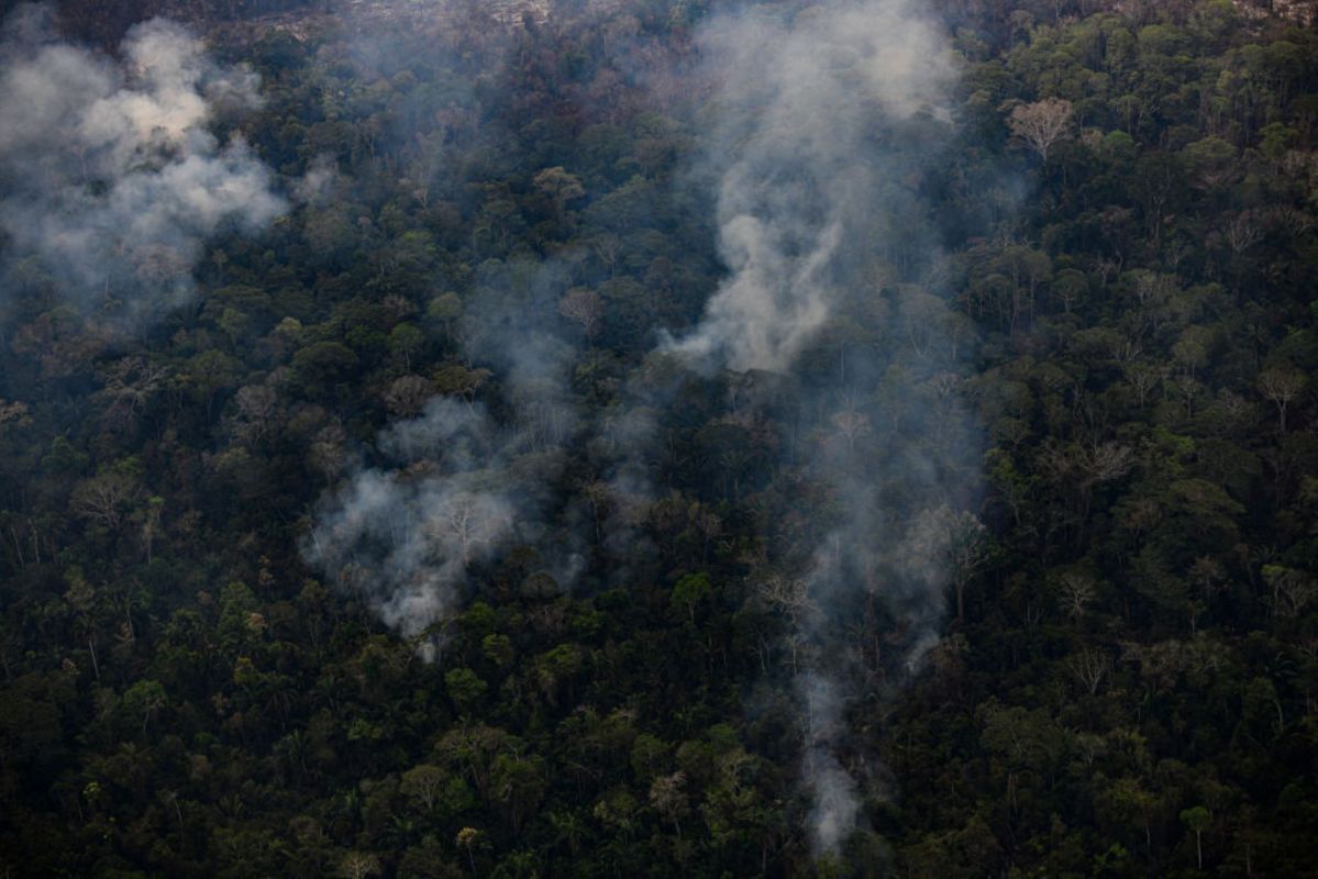 Since May, blazes have ravaged forests and savannas across Argentina, Bolivia, Brazil, Colombia, Paraguay and Peru.