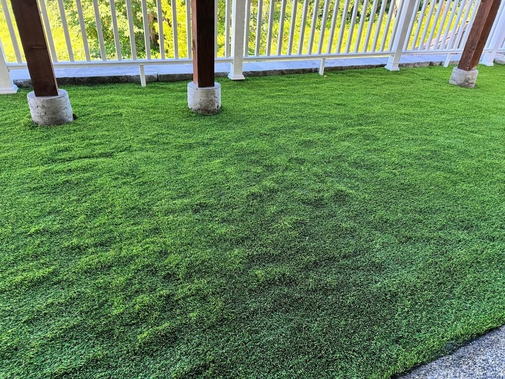 The issues with the lawn go far beyond the questionable aesthetics.