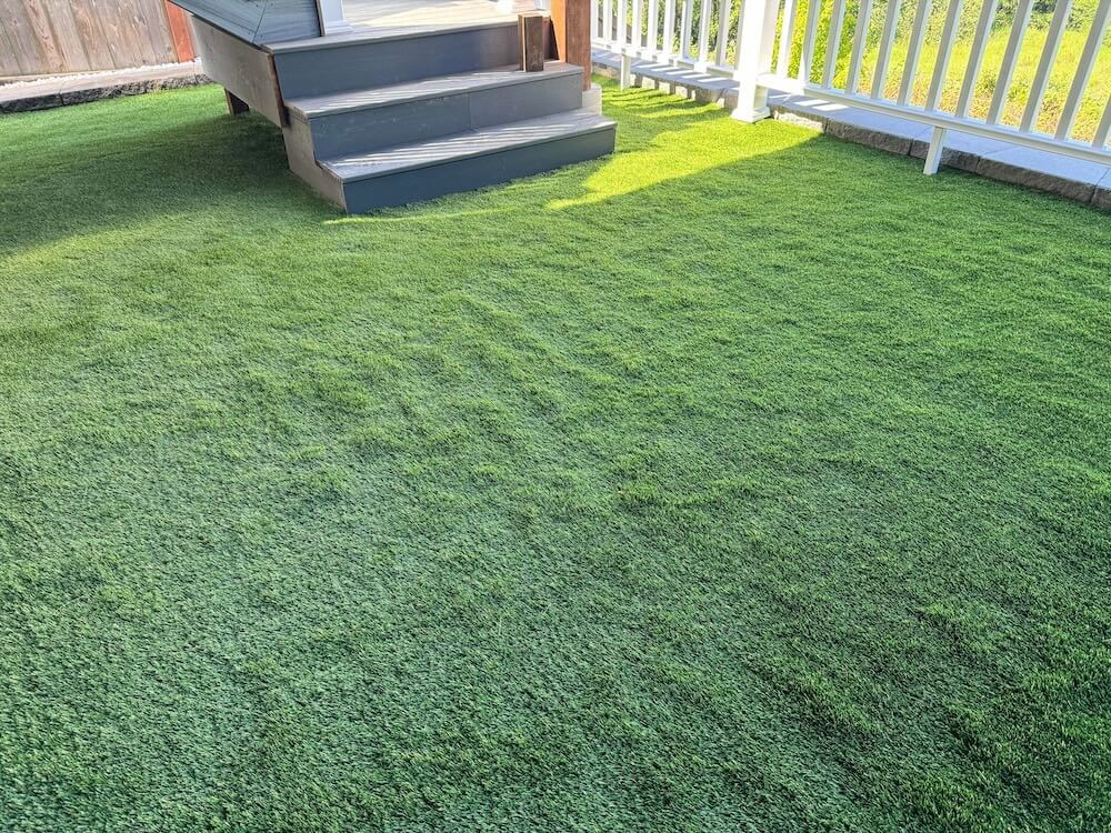 The issues with the lawn go far beyond the questionable aesthetics.