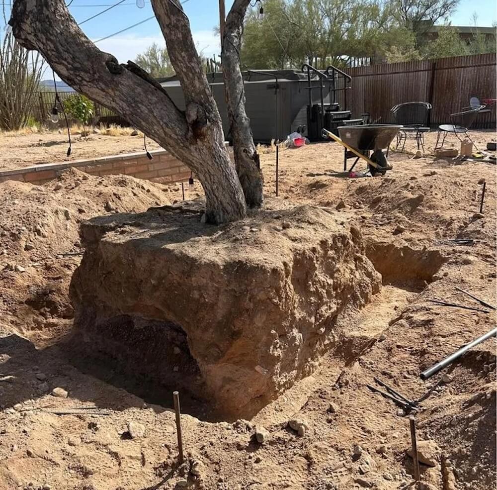 "So nice of them to build a sarcophagus for their tree."