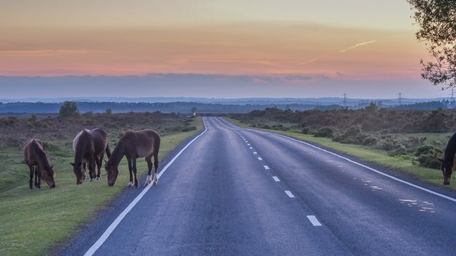 "I've given up on road cycling because it just feels too sketchy to me."