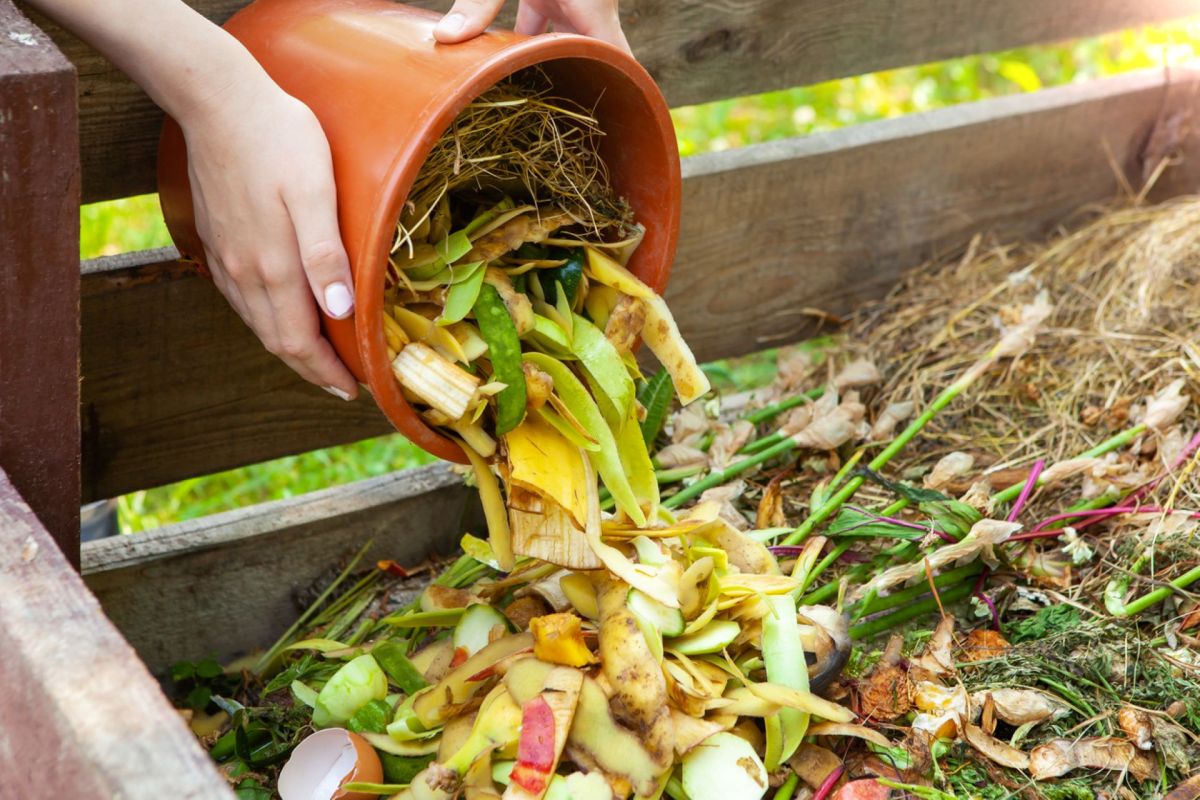 This incident made it clear that the term "compostable" is not one-size-fits-all and does not always mean an item is compostable at home.