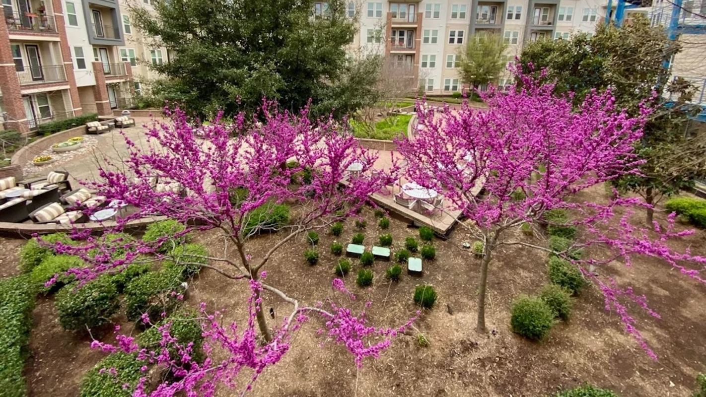 "Courtyard renovation at my apartment is a crime."