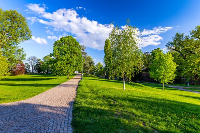 This research provides hope that by adding more parks, gardens, landscaping, and other green features, cities can combat rising temperatures and their associated health impacts.