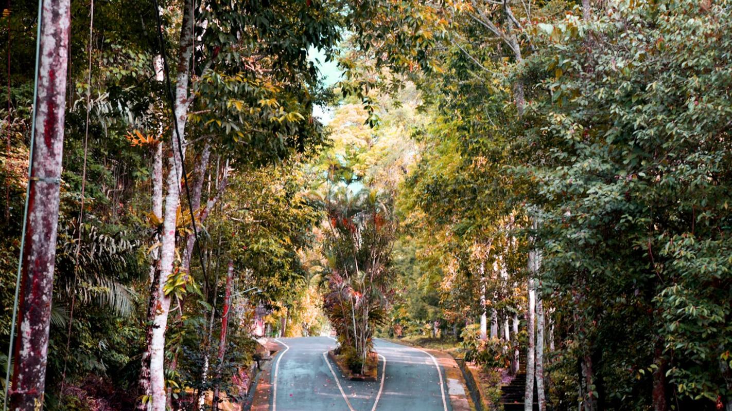 Wildlife crossings on major roadways protect animals and drivers from serious collisions, some of which may be fatal and extremely costly.