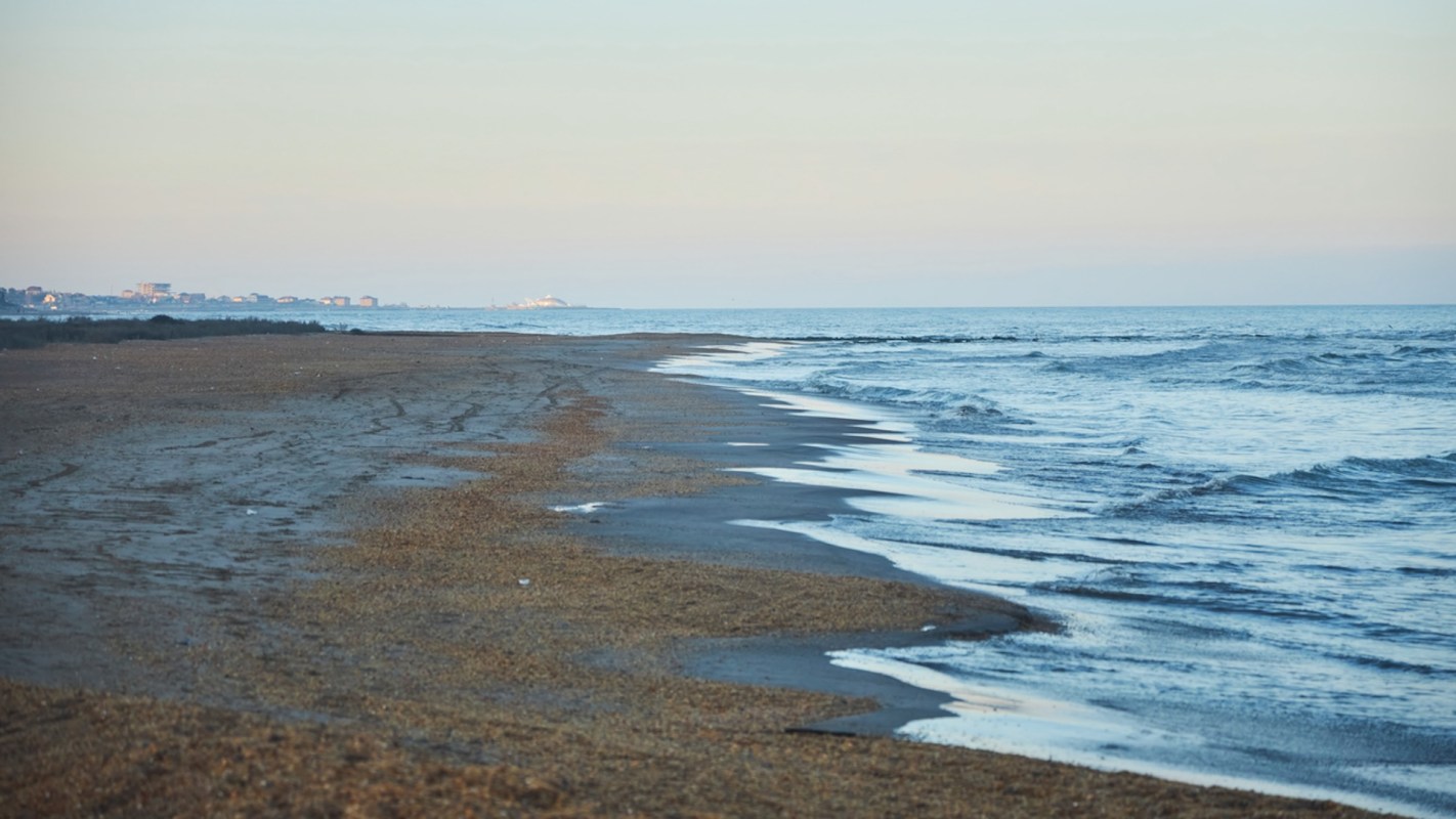 The sea's rising pollution levels are keeping people out of its waters.