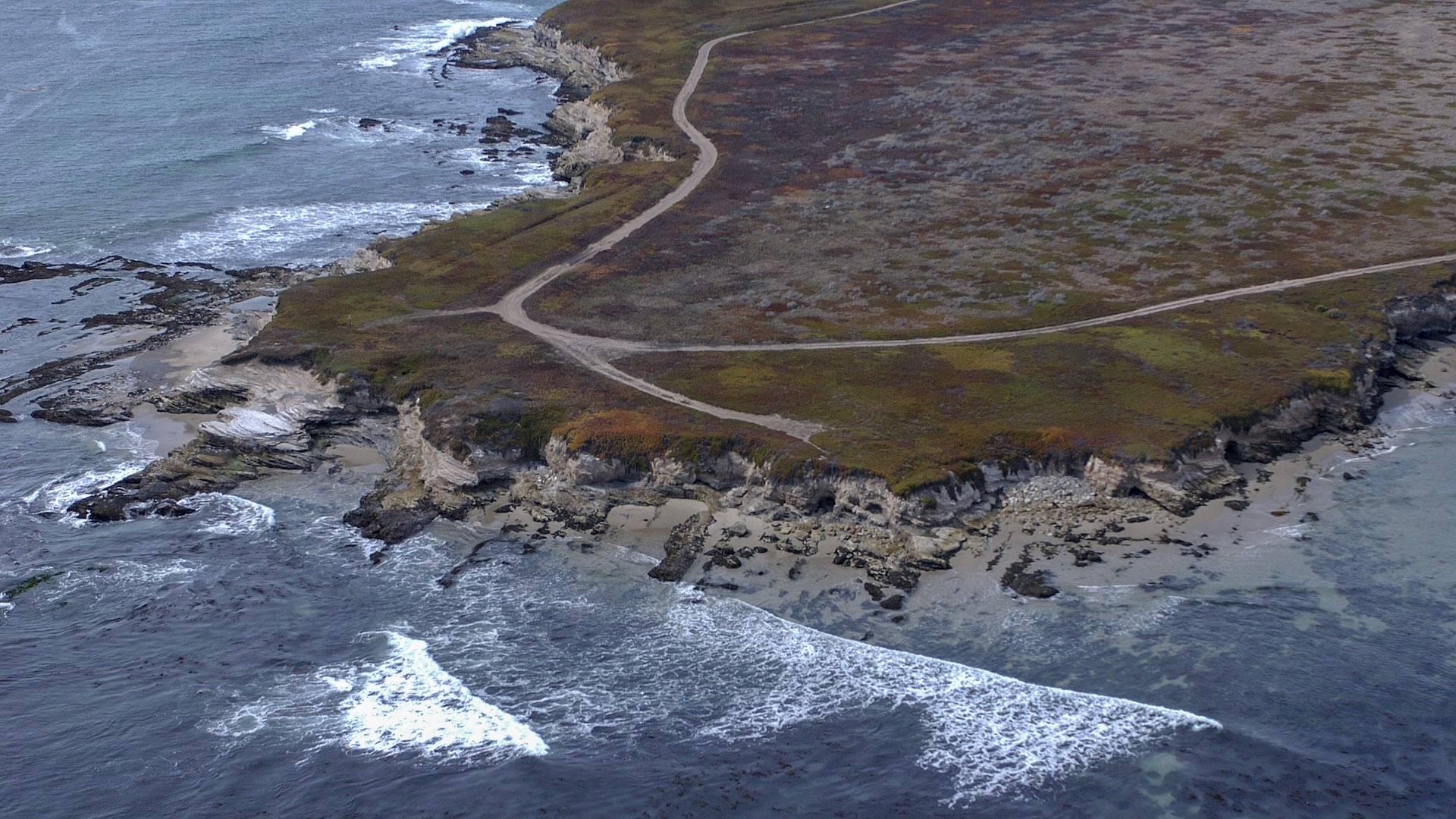 The sanctuary conserves biodiversity and provides space for wind turbine infrastructure.