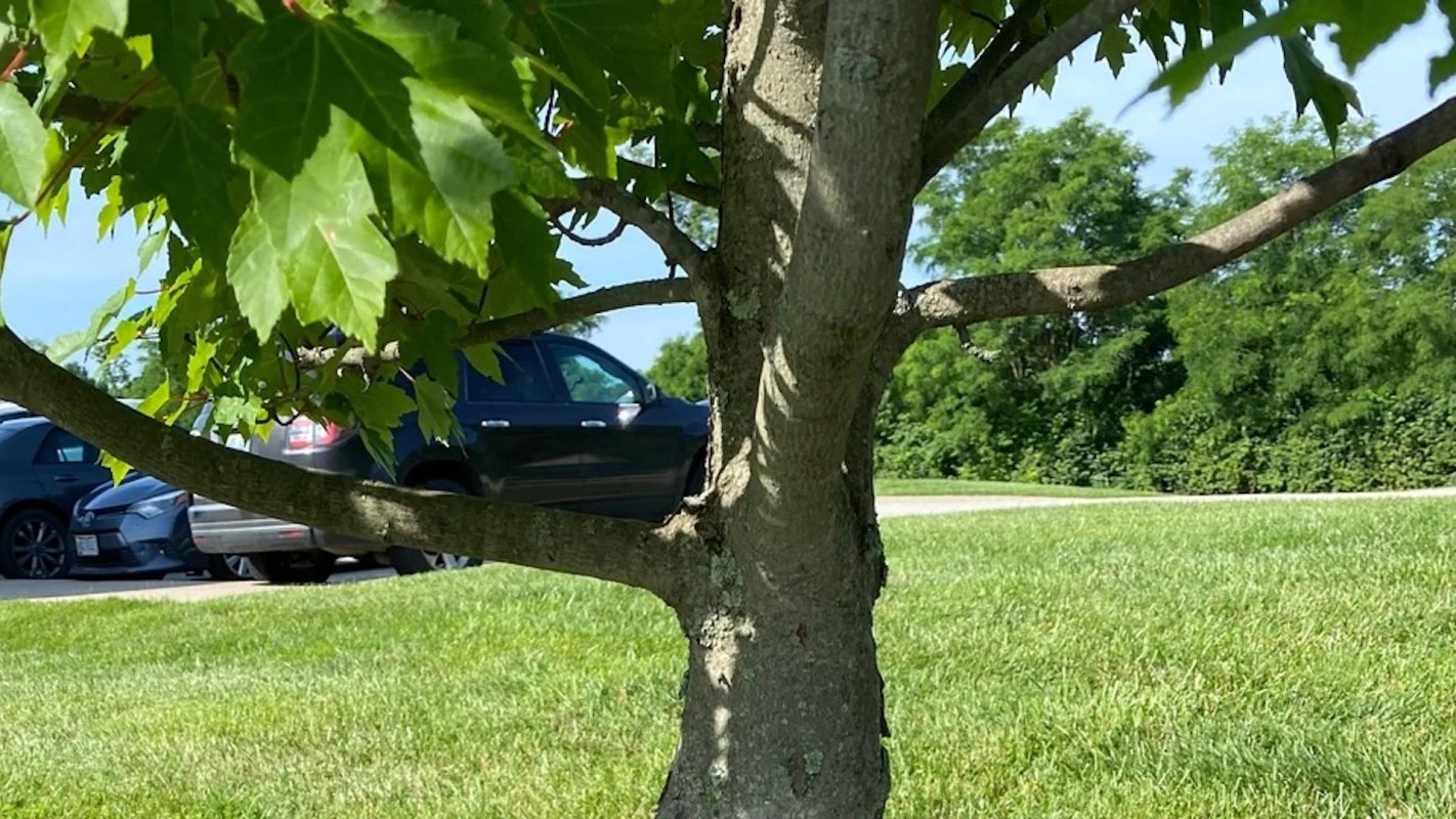 "Almost feel bad for destroying that tiny ecosystem."