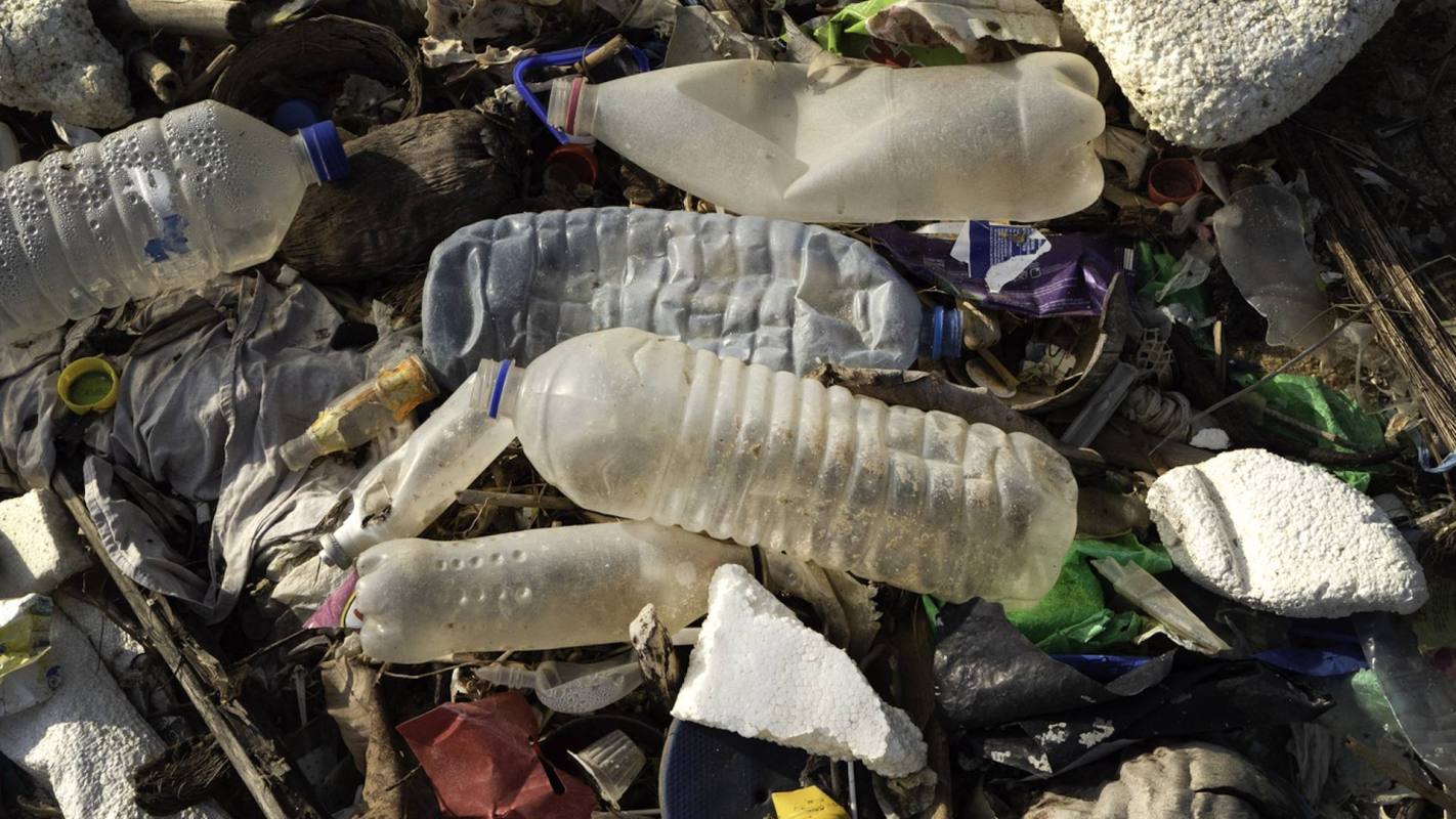 "The degradation rates of the CDA foams were … the fastest of any plastic reported in the ocean."