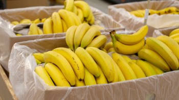 The company is making major moves to overhaul its entire banana supply chain.