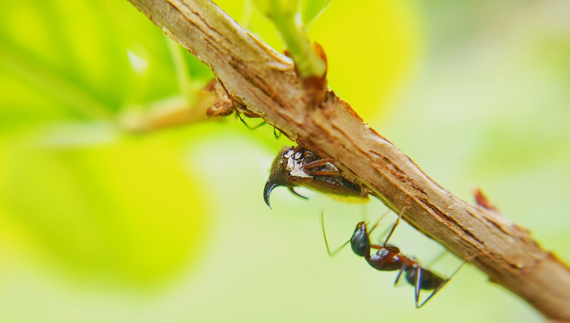 "This could cause a shift in their mating patterns, and reproductive rates are really important for population persistence."