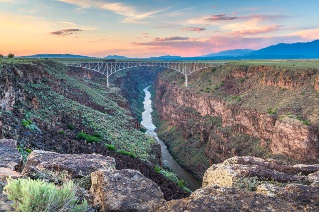 "To have them back on the landscape after being gone for so long, it's really bringing back that native part of the landscape."