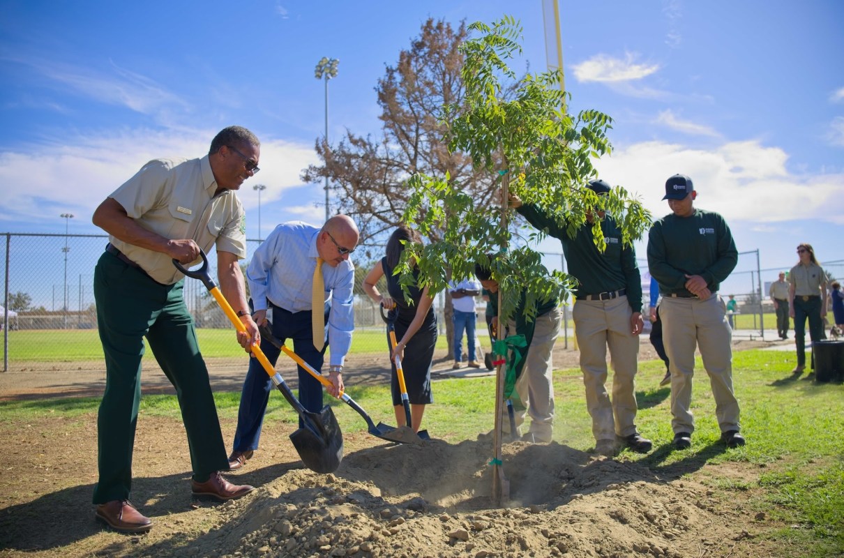 Other cities in the U.S. have made efforts to protect their communities by planting trees.