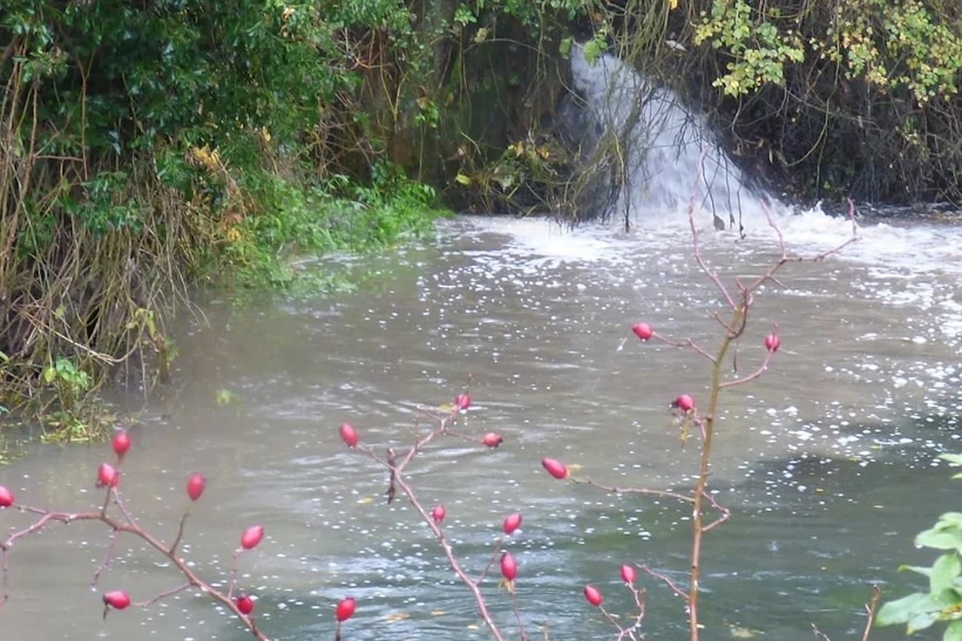 Part of this process involves a criminal investigation into water companies' non-compliance.