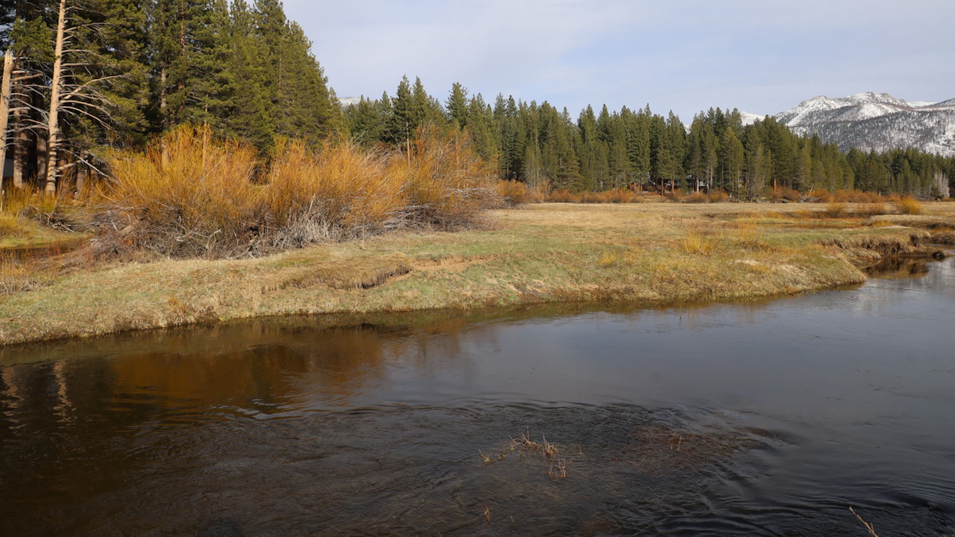 "This is one of the basin's largest wetlands and its restoration is a cornerstone of the collaborative work to restore the ... region."