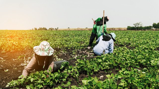 "California farmworkers put their bodies through incredible stress every day to feed families across the globe."