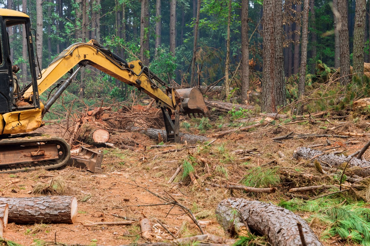 This development will necessitate the clearing of over 170 acres of forest land for houses.