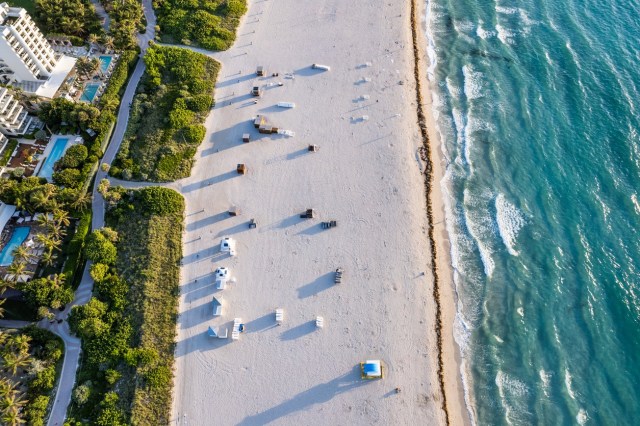 "These things are a blight on Miami waters."