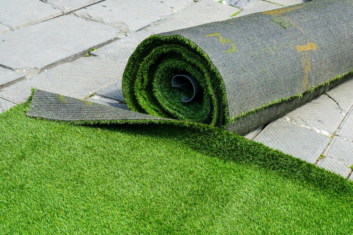 The issues with the lawn go far beyond the questionable aesthetics.