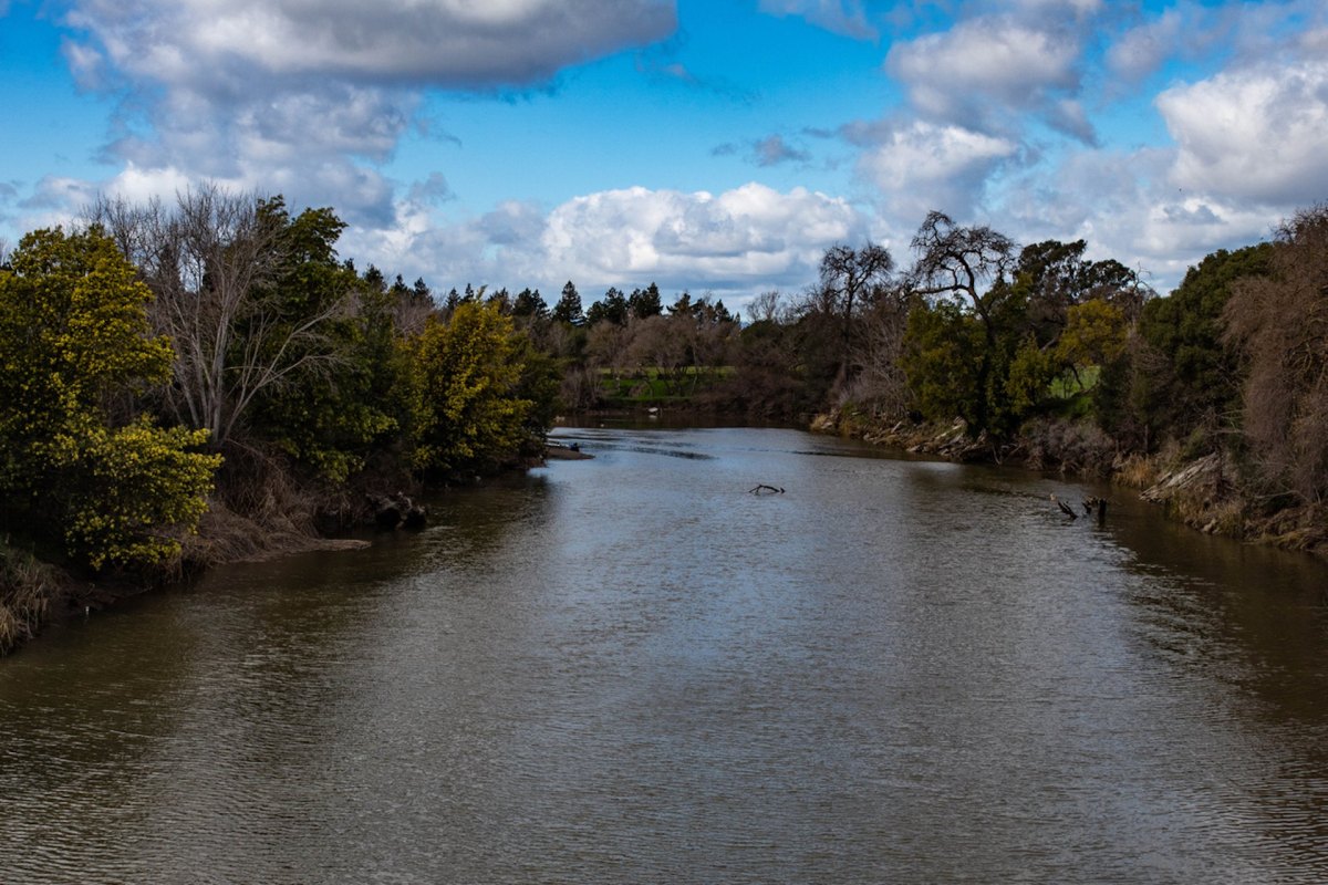 The employees have said landfill operators knowingly diverted a "leachate" of untreated liquid wastewater.