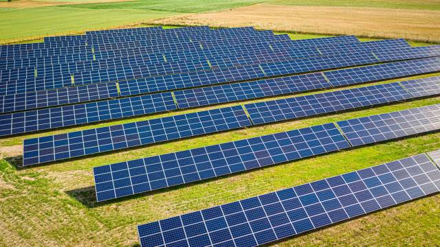 solar panels in a field