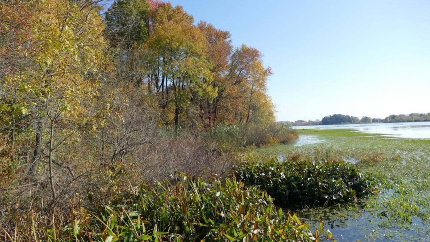 Tackling microplastic pollution goes beyond cleaning up waterways.