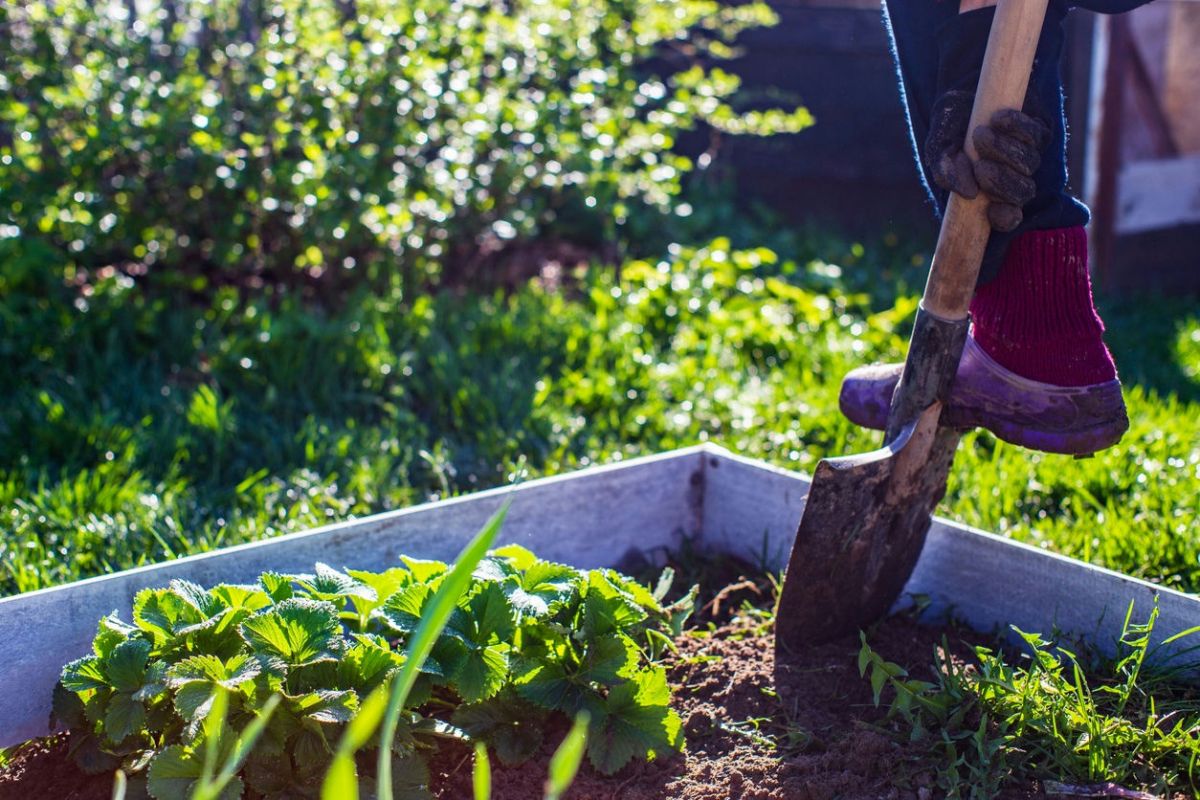 "Soil health is so important and not discussed enough."