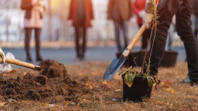 Natural areas are great at absorbing heat-trapping gases from the atmosphere and can help communities cope with and recover from natural disasters.