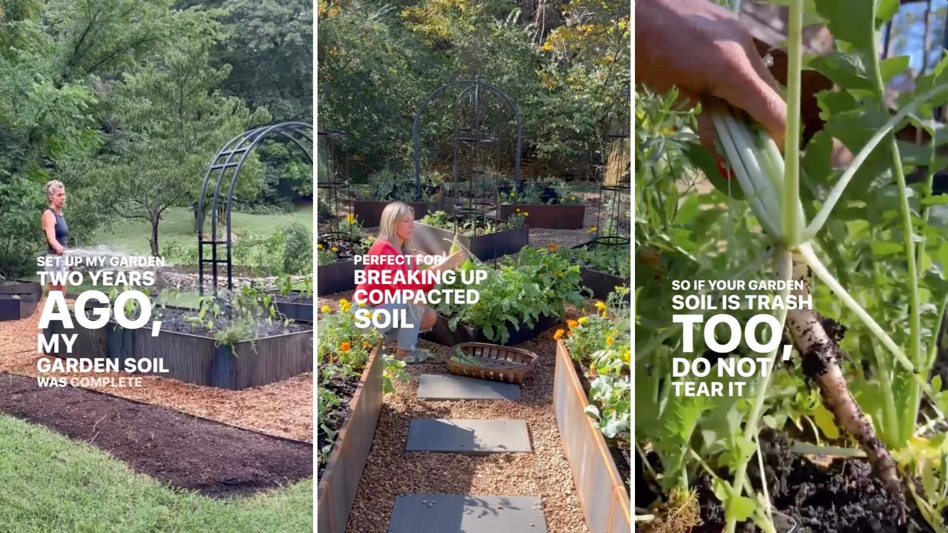 Whether you're dealing with poor soil quality or want to improve your garden's health naturally, this simple trick proves that sometimes the best solutions come from working with nature, not against it.