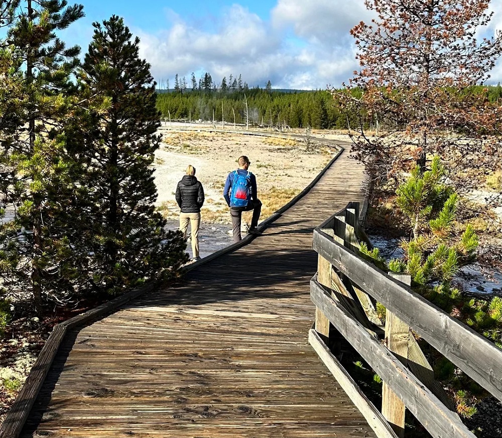 "Isn't there a hefty fine if they're caught off the boardwalks?"