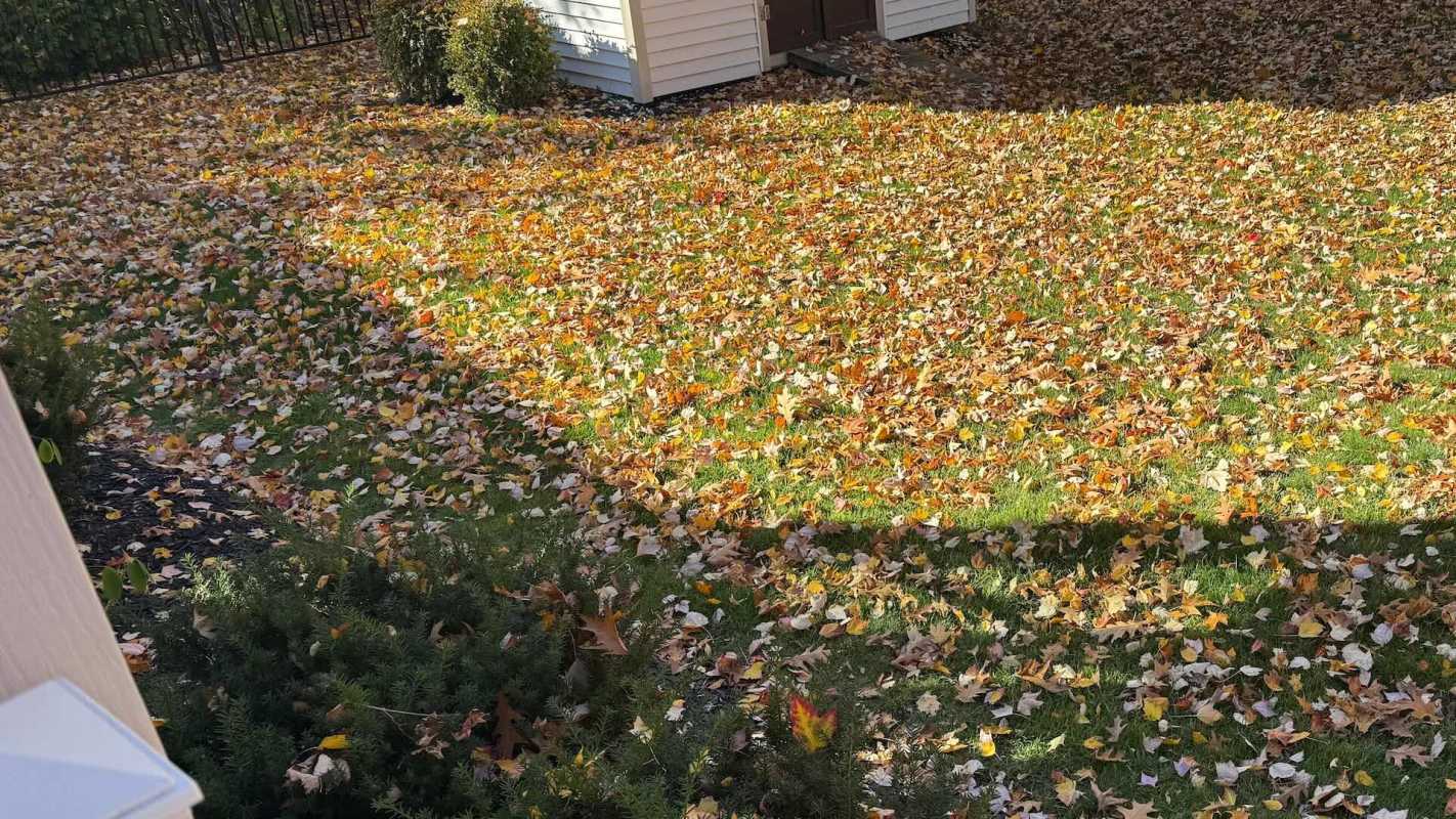 It's that time of year where many navigate leaf debris.