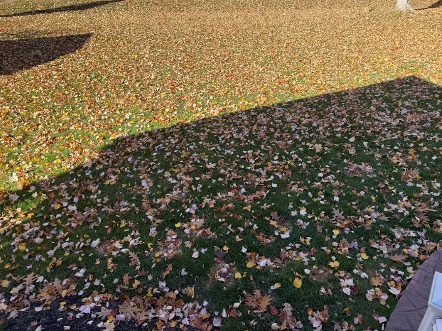 It's that time of year where many navigate leaf debris.