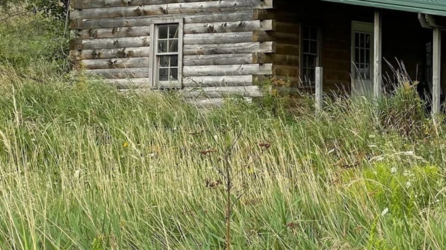 "It hasn’t been touched in 15 years and in that time, nature had done its best to take over."