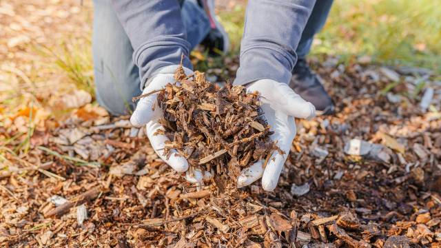 These ancient techniques have helped gardens thrive for centuries.