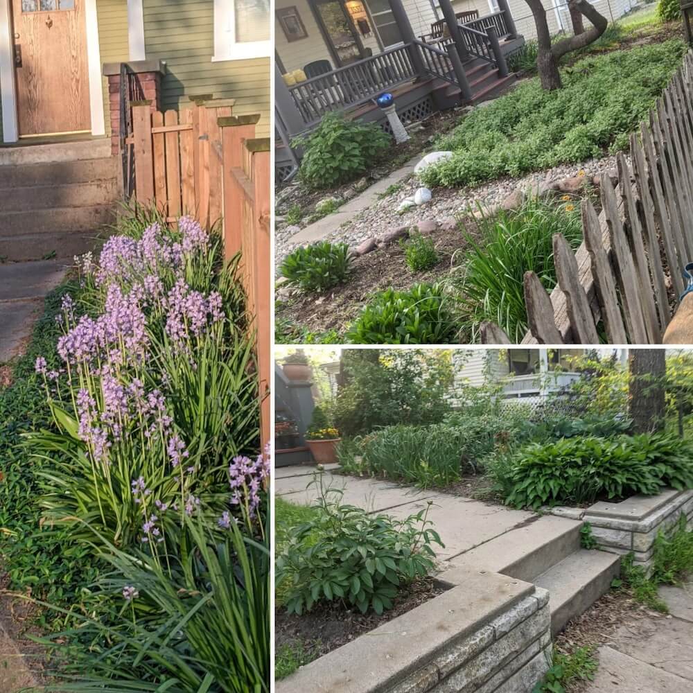 "I never see landscaping companies like I do in the suburbs."