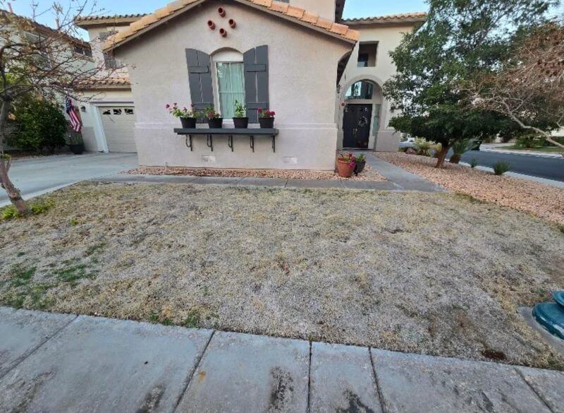 The homeowner explained that after receiving HOA fines for several months due to having dead grass, they gave in.