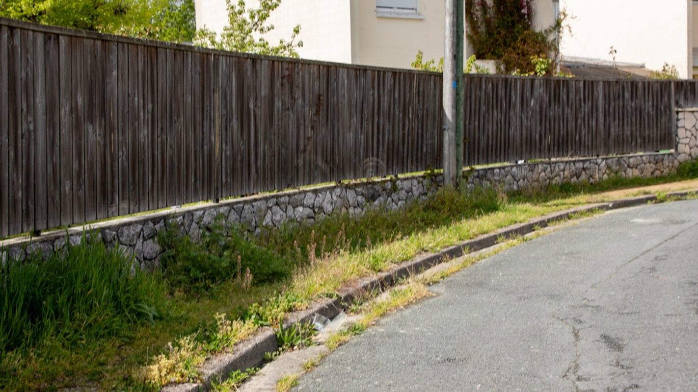 "Two-foot-wide sidewalk for a person with two feet. What more could you possibly want?"