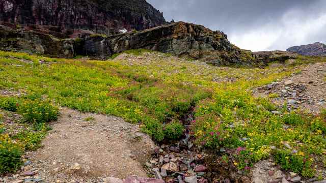 "There are signs literally every hundred yards or so."