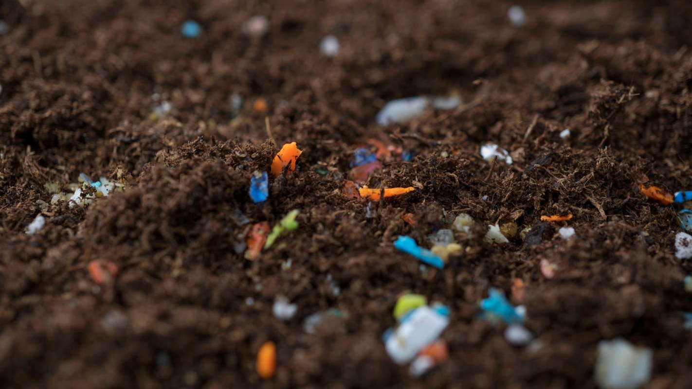 The harmful chemicals found in microplastics have been linked to cancer.