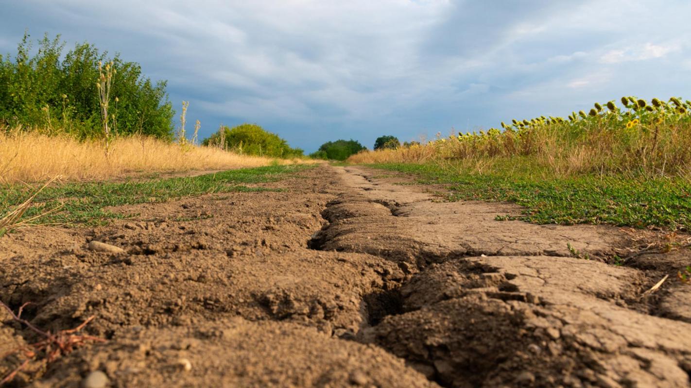 Human activities causing Earth's overheating have doubled these weather combinations.