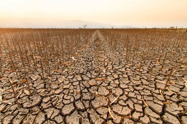 "How come that one hand is degrading the land and the other hand has the charge of restoring it and repairing it?"