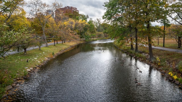 An end goal of reducing the phosphorus levels by 60% can help prevent cyanobacteria from thriving and releasing harmful toxins.