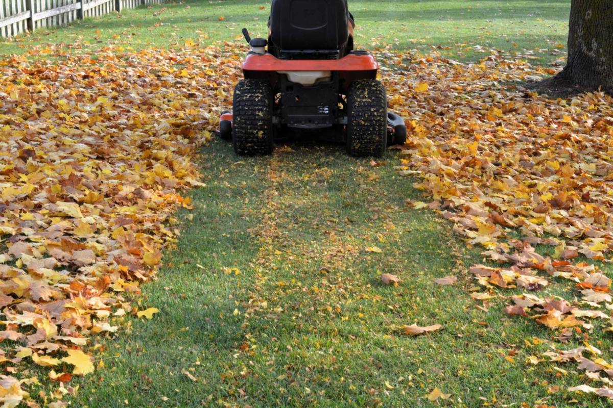 "It showed me that I really don't mind mowing, I just hate gas mowers."