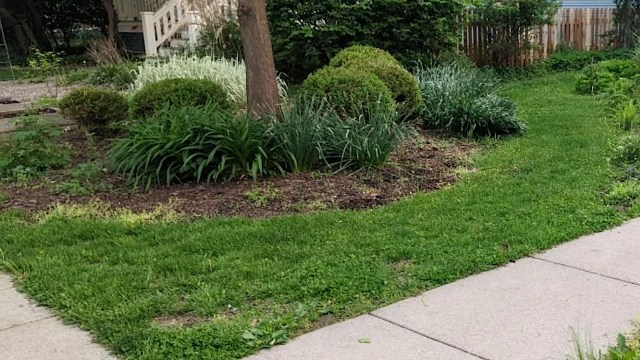 "I never see landscaping companies like I do in the suburbs."